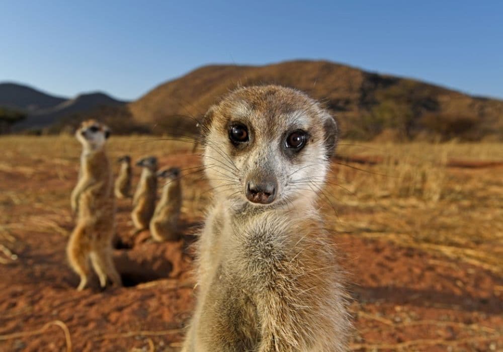 New blog fom Serhiy this is test UI The title of the blog post The title of the blog post